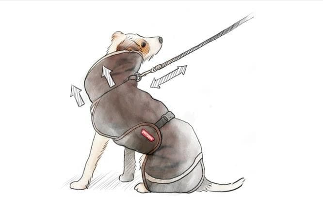 ドッグコート【Perus Pomppa】ペルス フィランド