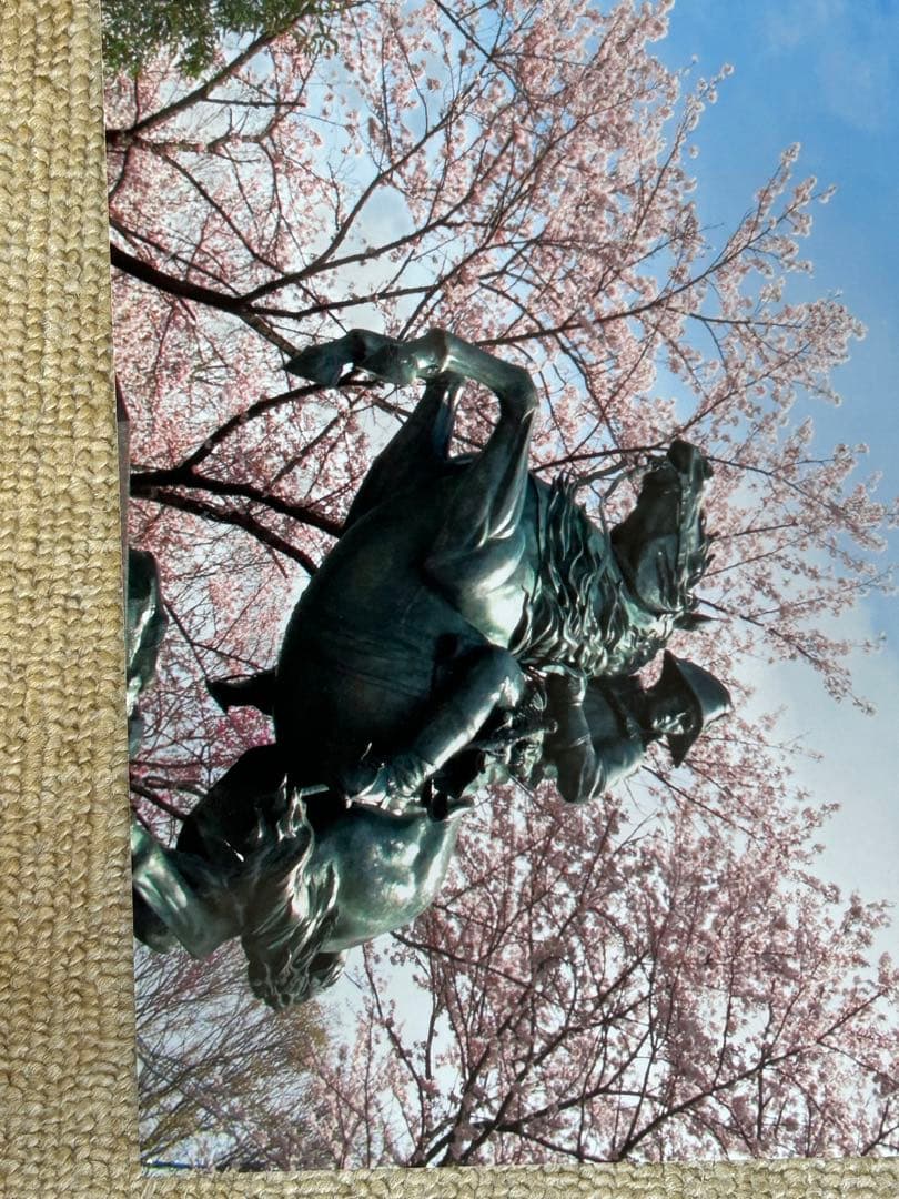 【非売品】【超レア希少品】 創価大学　ナポレオン像　 アクリル製写真版