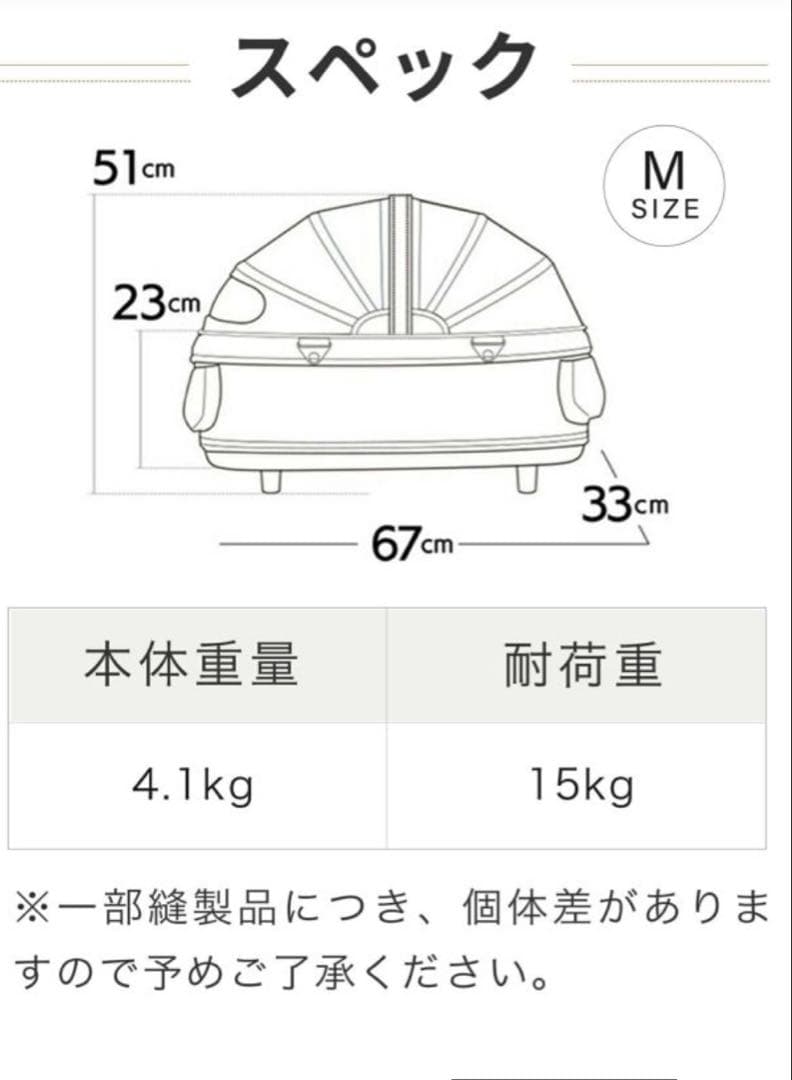 エアバギー