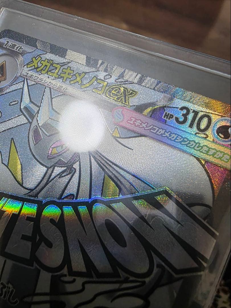 サ*カ様 メガユキメノコex MA 中国語エラー