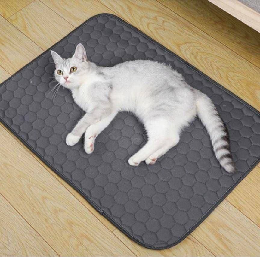 Ｌ ベージュ シート トイレ　洗える　ペット　犬　猫　吸水　マット　2枚