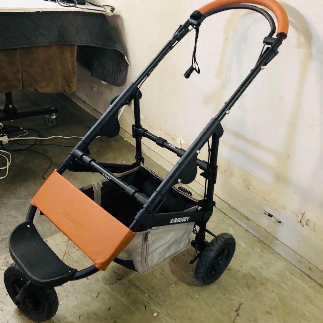 F25 美品！エアバギー ペットカート ドーム3 フレーム単体 ペットキャリー