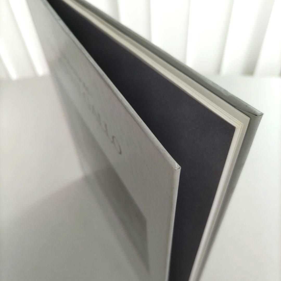 VINCENT GALLO 画集 ヴィンセント・ギャロ ArT RANDOM