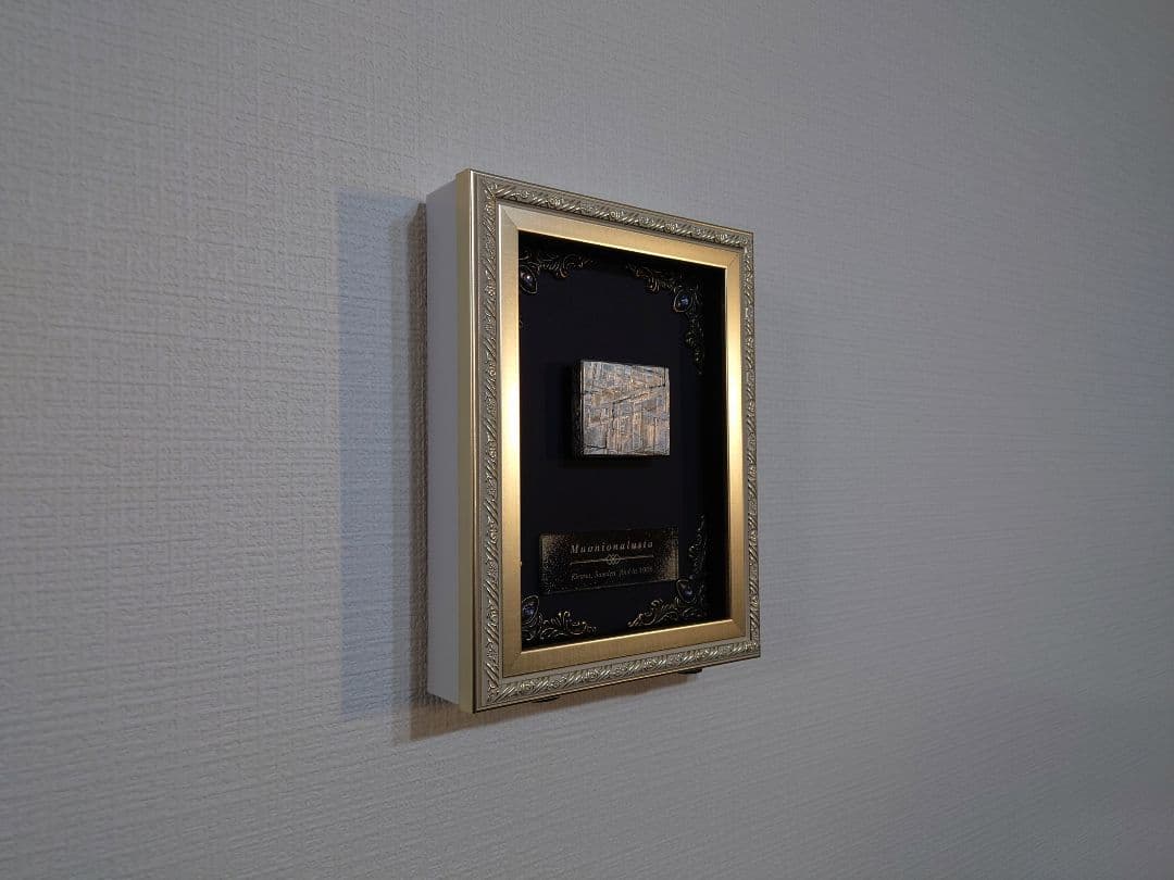 隕石絵画　ムオニオナルスタ隕石 133g鉄隕石【検索ワード ギベオン イミラック