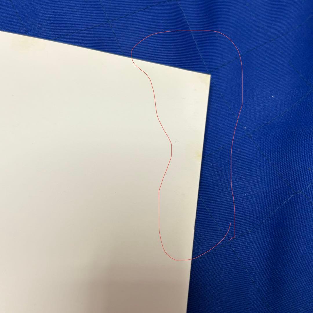 Acid Black Cherry アザージャケット