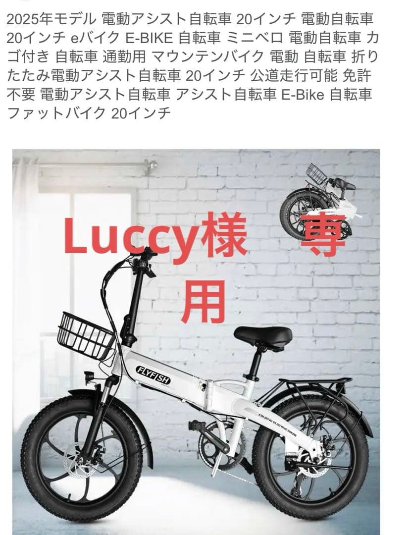 ⭐️2025年モデル 電動アシスト自転車 20インチ　FLYFISH⭐️