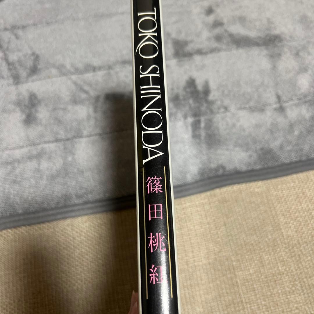 【希少本】篠田桃紅 画集 作品集　Toko Shinoda