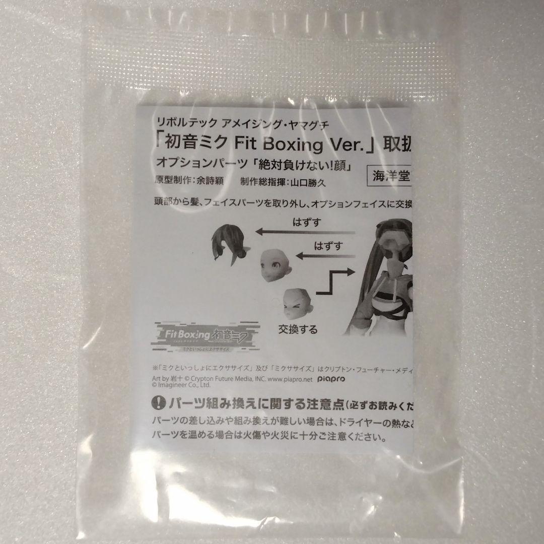 【特典付】アメイジング・ヤマグチ 初音ミク Fit Boxing Ver 未開封