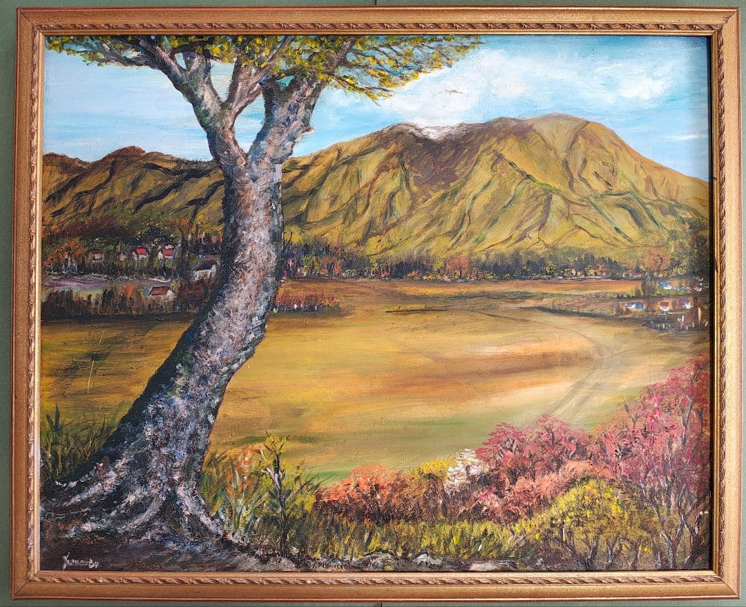 ​​【即発送】F30号 公募展 金装飾額（軽量ガラス無）白日会展可 保護用絵画付