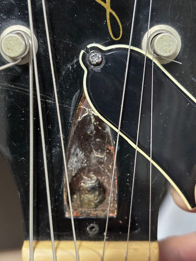 Kenz330様Gibson Les Paul Special DC ブラック