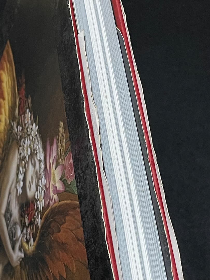 小島文美 画集 Santa Lilio Sangre 緋いユリ