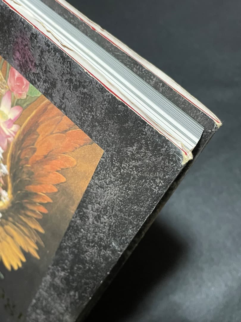 小島文美 画集 Santa Lilio Sangre 緋いユリ