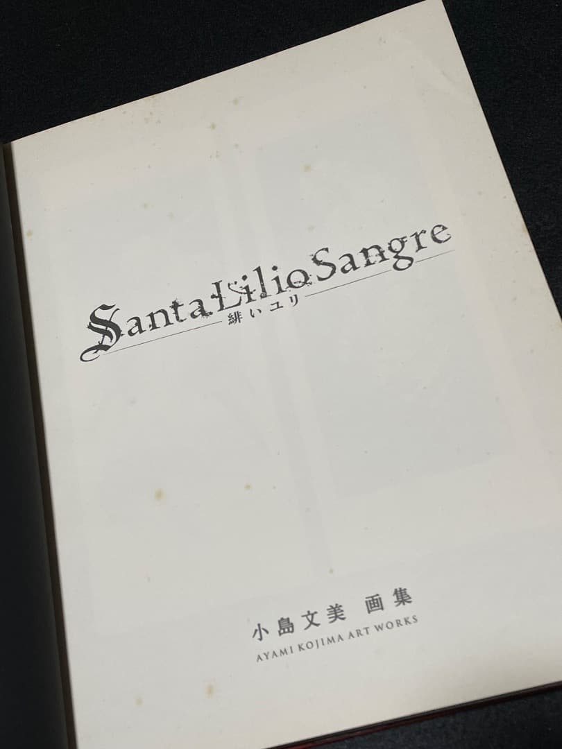 小島文美 画集 Santa Lilio Sangre 緋いユリ