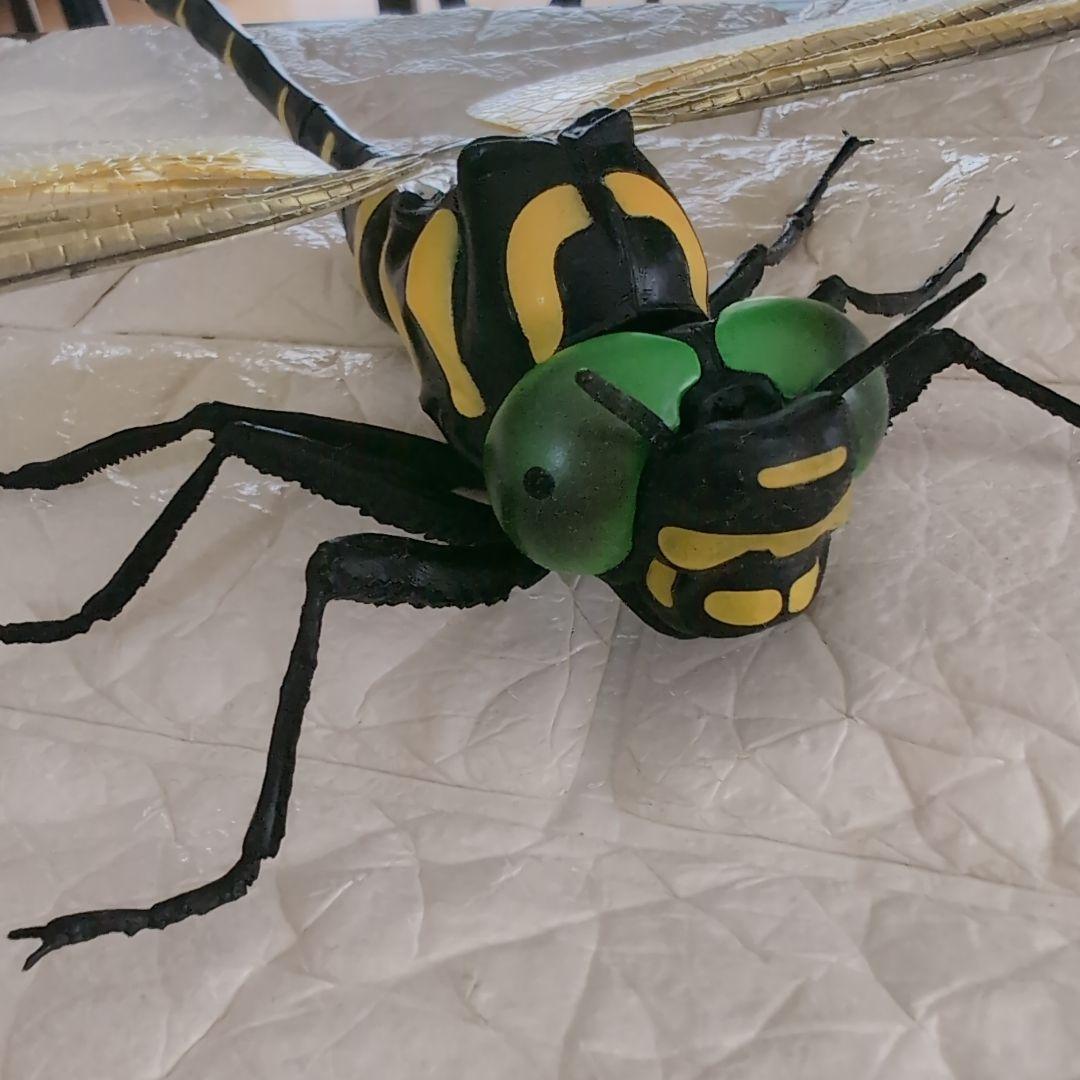 昆虫　フィギュア　トンボ　オニヤンマ