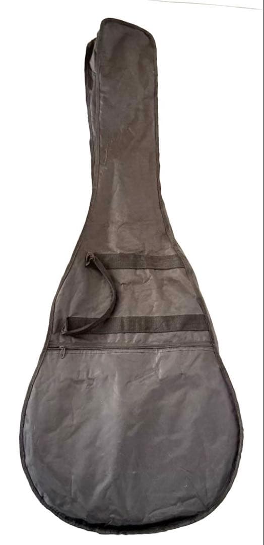 【美品】Aria FEB-FLAN エレアコベース