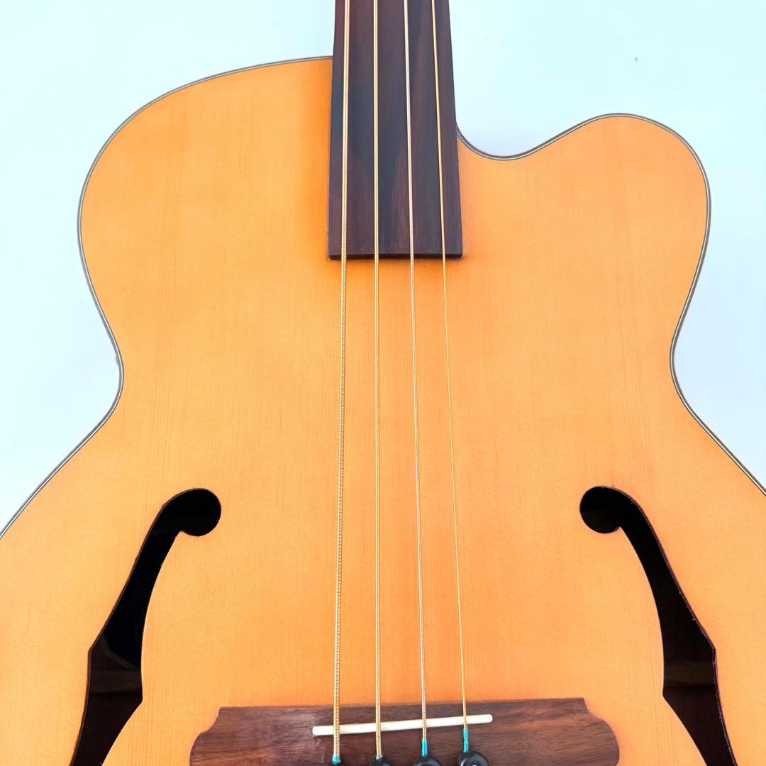 【美品】Aria FEB-FLAN エレアコベース