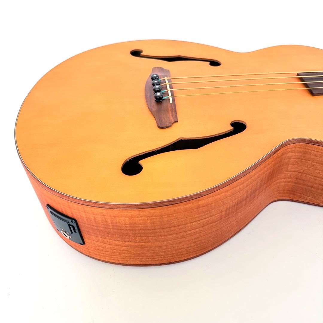 【美品】Aria FEB-FLAN エレアコベース