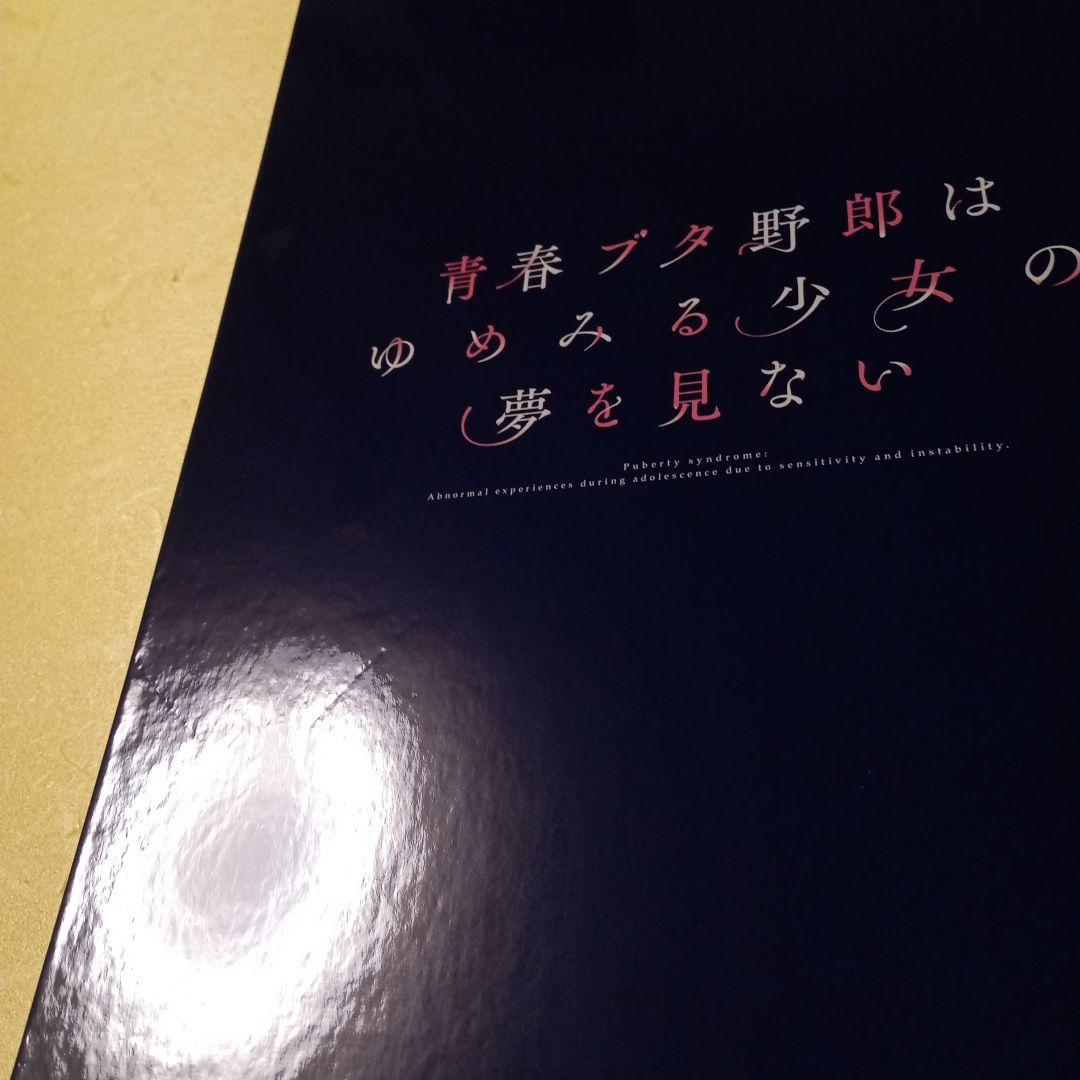 劇場版　青春のブタ野郎はゆめみる少女の夢を見ない　豪華版パンフレット　チラシ付き