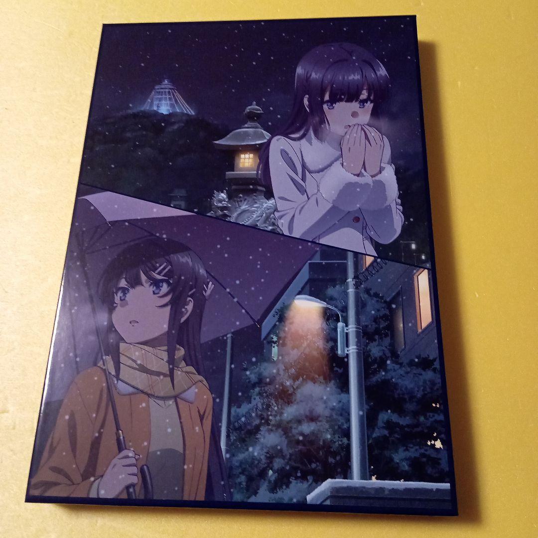 劇場版　青春のブタ野郎はゆめみる少女の夢を見ない　豪華版パンフレット　チラシ付き