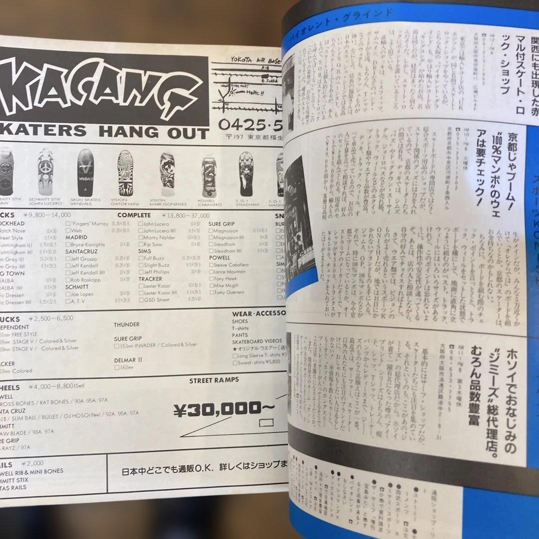 ラジカルスケートブック特別版1+2