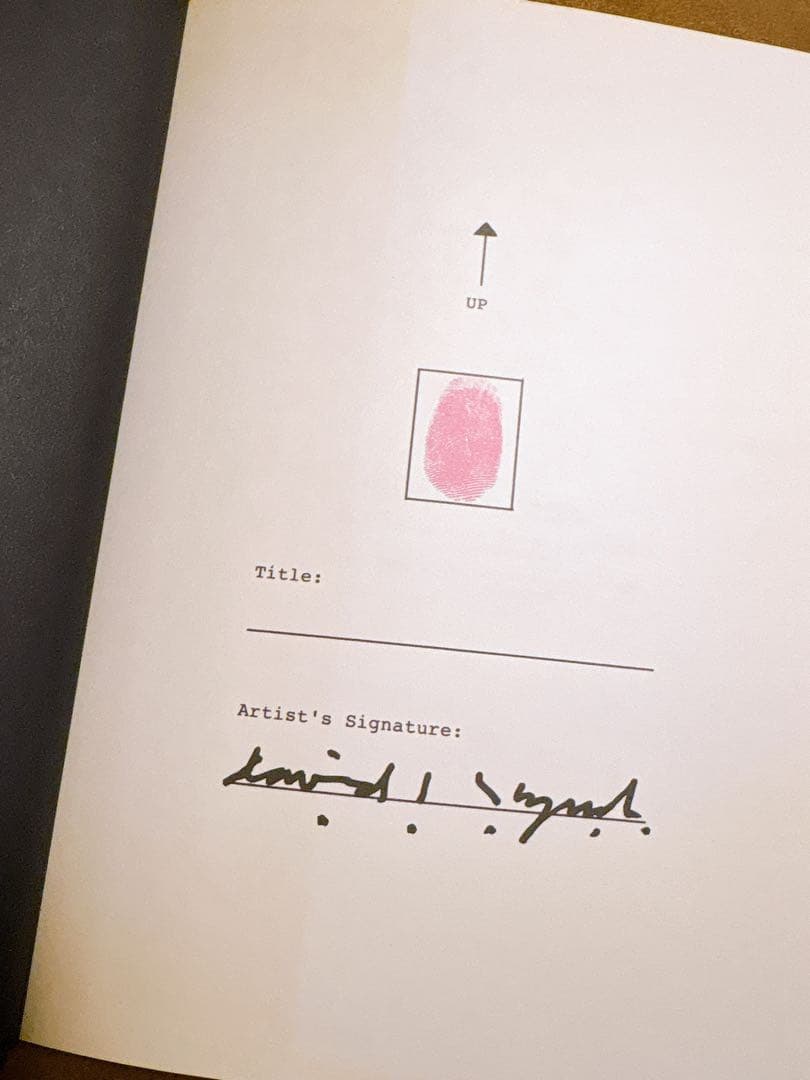 【初版】デビッドリンチ ペインティング&ドローイングアート本・チラシ付き