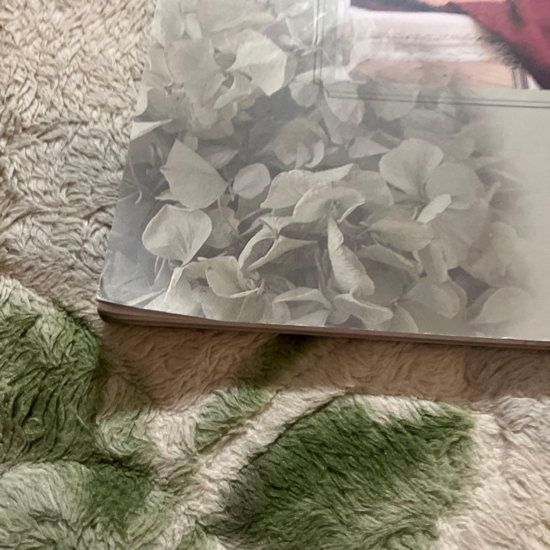 アート・デザイン・音楽 La Petit Maison