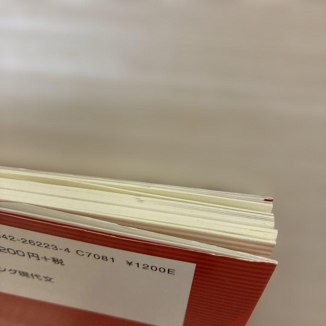 ライジング現代文　パイーシイ‼️