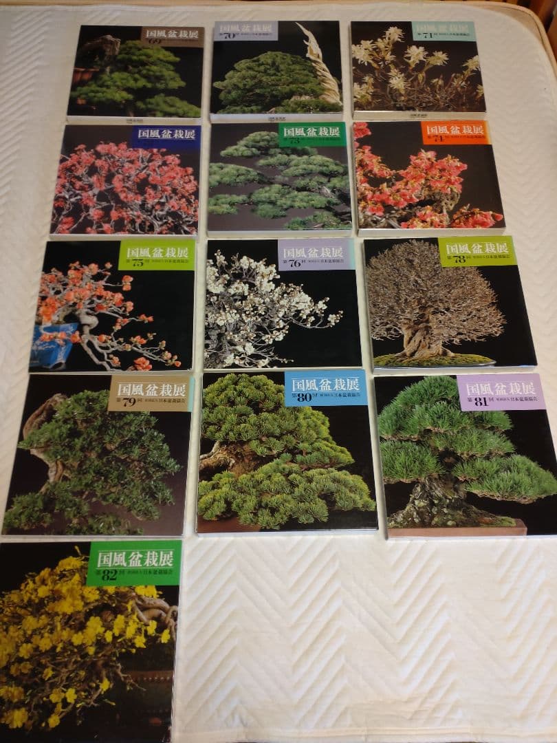 国風盆栽展 コレクション 13冊