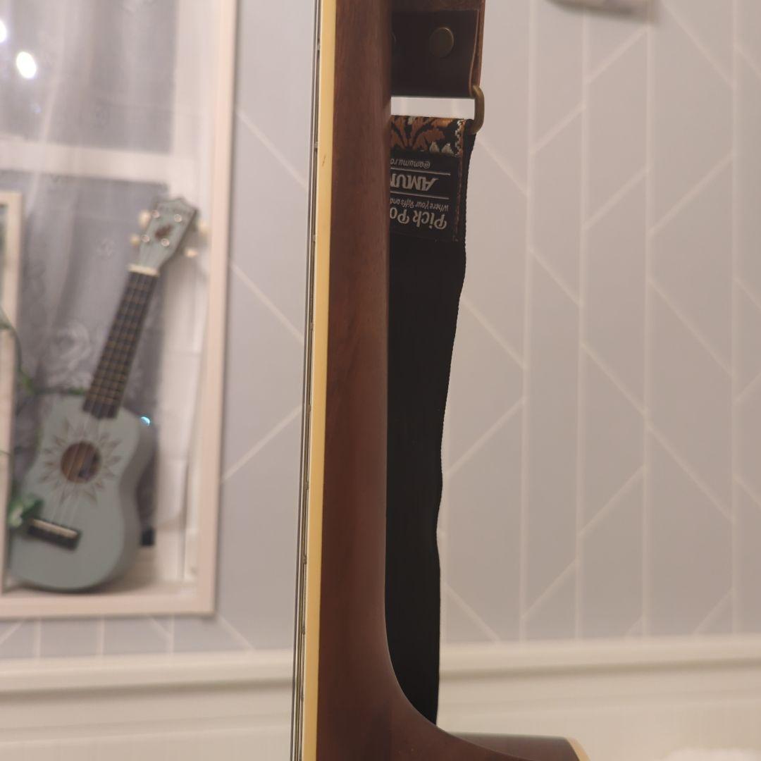 Gull's Eye 3 アコースティックギター