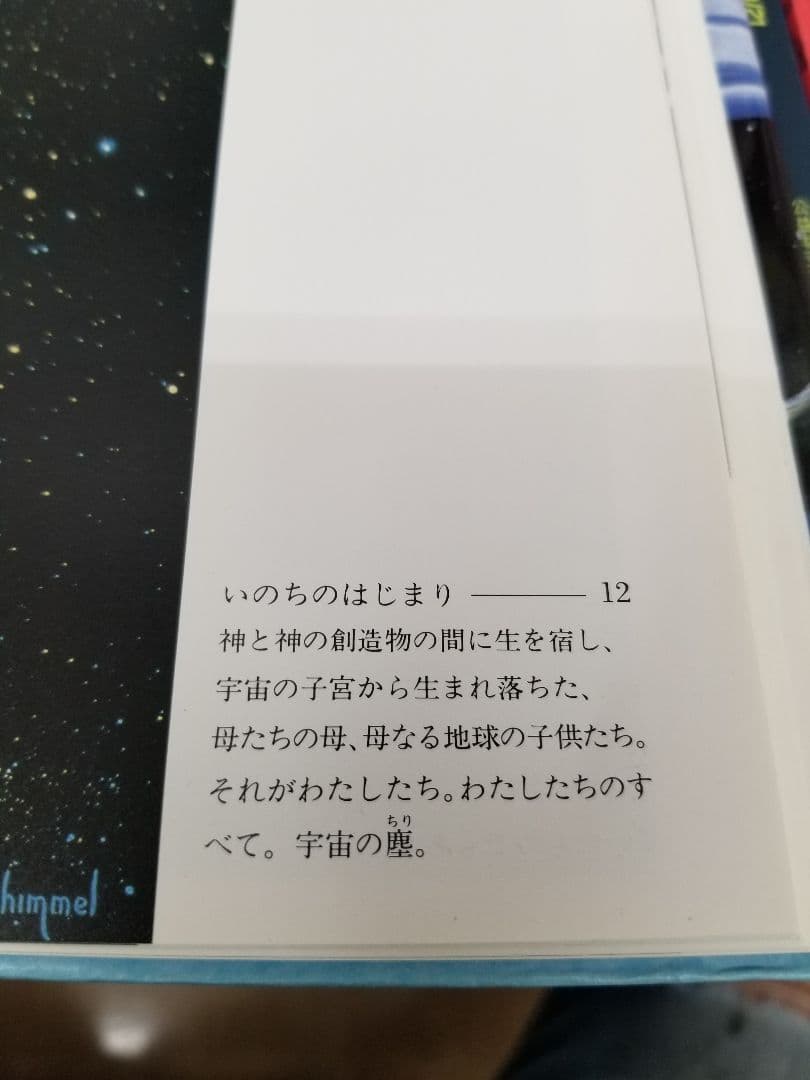 1992年　製作　シメール　ヴィンテージ　スペースエイジ　アート　ポスター