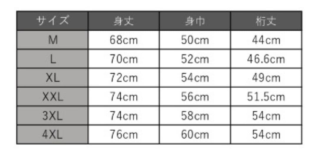水戸ホーリーホック 2023 ユニフォーム アウェイ 半袖 J1昇格 Mサイズ