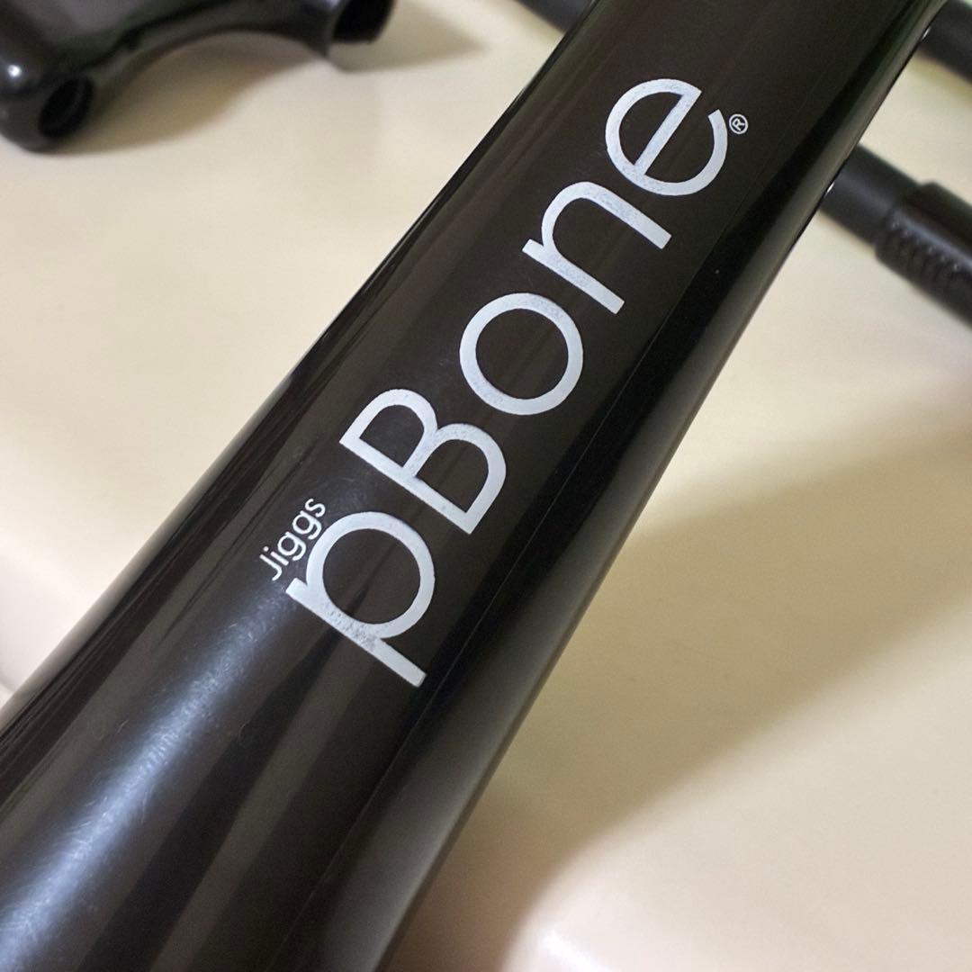 pBone pInstruments プラスチック製 トロンボーン 黒