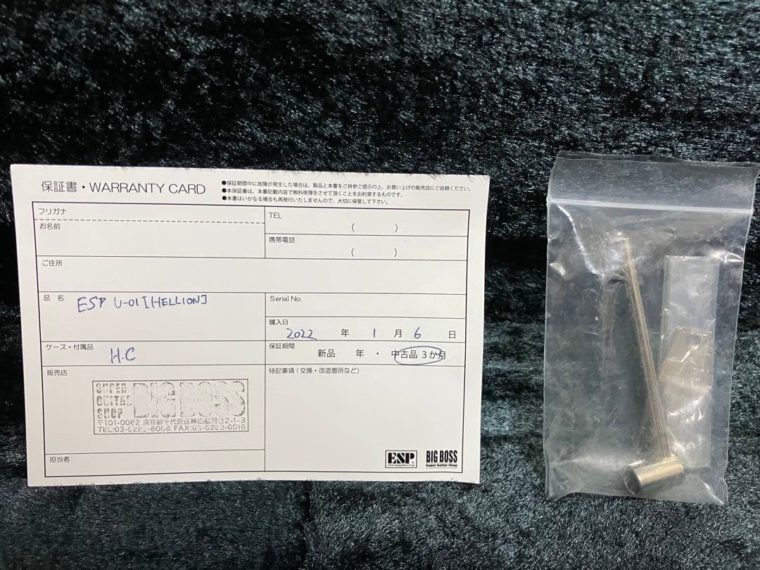 ESP U-01 [HELLION] 麗モデル the GazettE