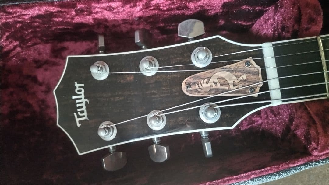 【MIYAVI世界デビュー時のT5改良品】Taylor T5z　ハードケース付