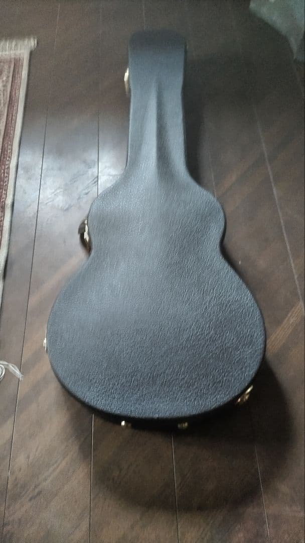 【MIYAVI世界デビュー時のT5改良品】Taylor T5z　ハードケース付