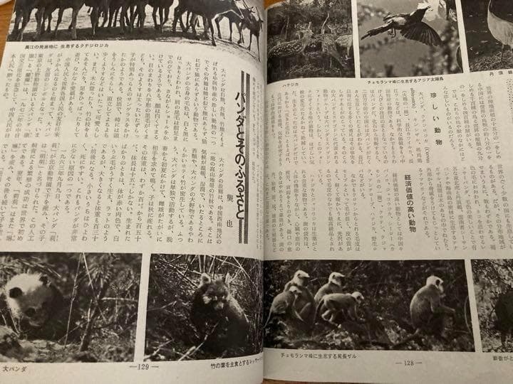 1970年の万博パンフレット＋中華人民共和国展覧会資料　昭和レトロ