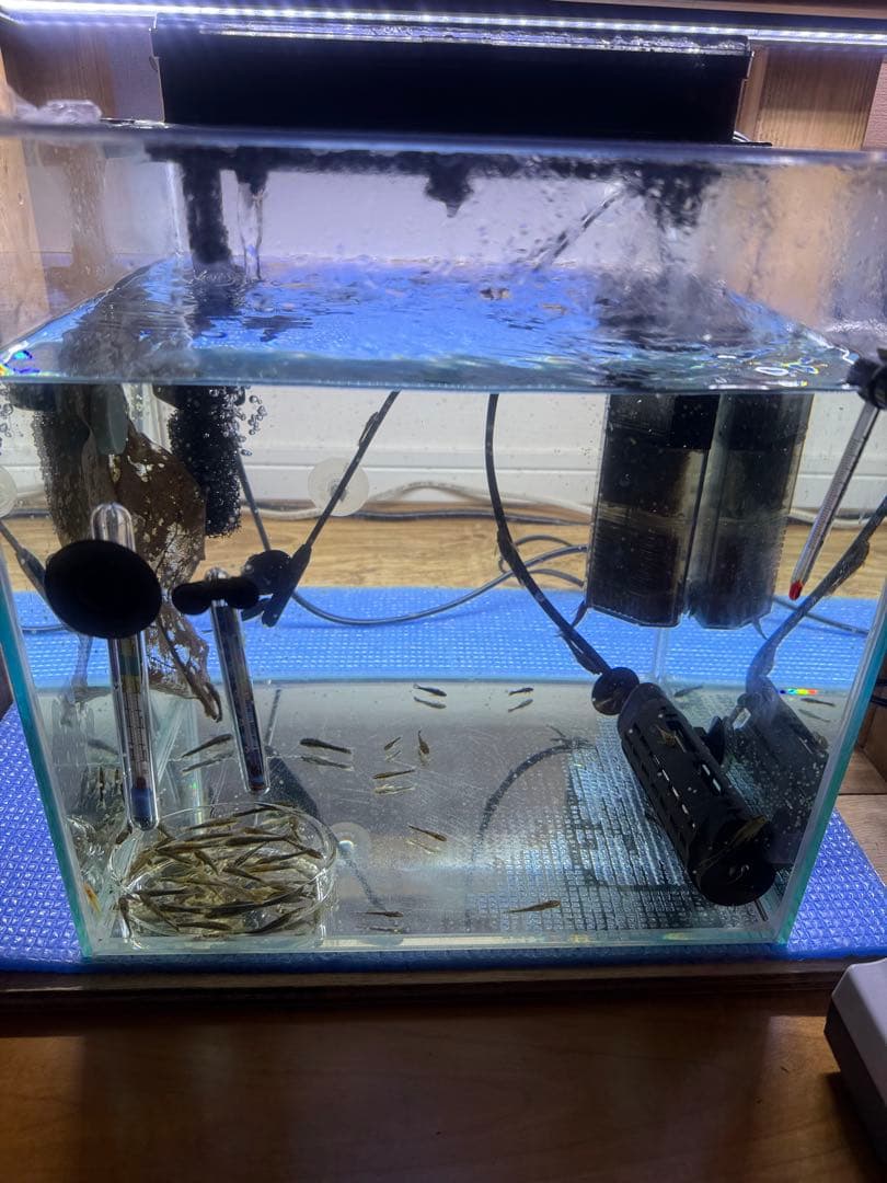 水槽セット　引取限定or配達　発送不可