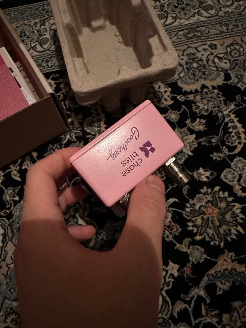 Chase Bliss Lossy チェイスブリス