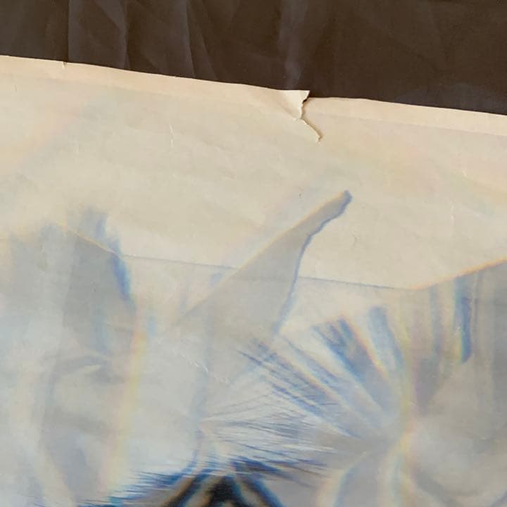 名和晃平　　シンセシス　ポスター