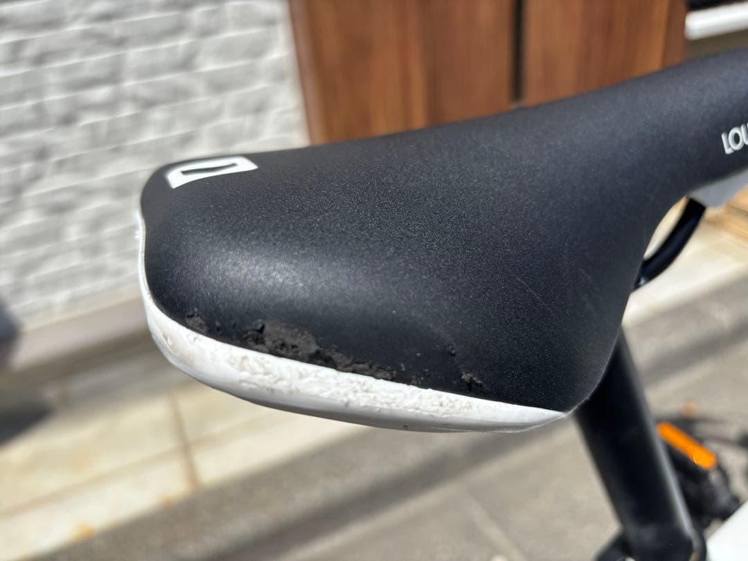 ルイガノ自転車J22【手渡し限定】