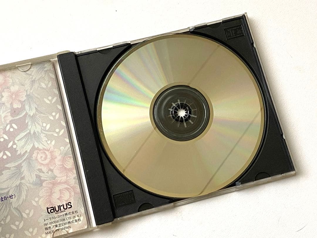 鄧麗君　テレサテン　CD 2枚　中国語全曲集