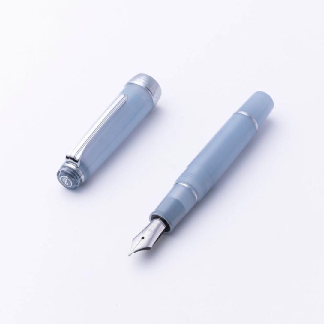 【24時間以内発送】銀山スノーグレー・万年筆 パルム　M