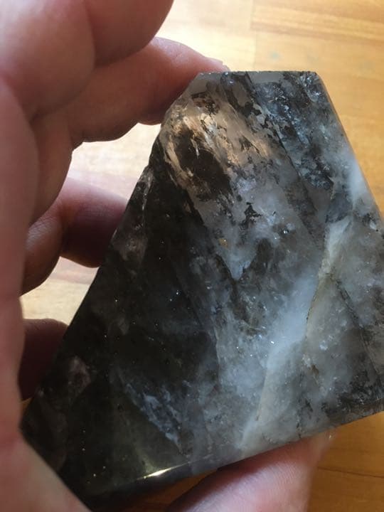 デンドライトクォーツ、デンドリティックガーデンクォーツ、737.2g 原石。希少