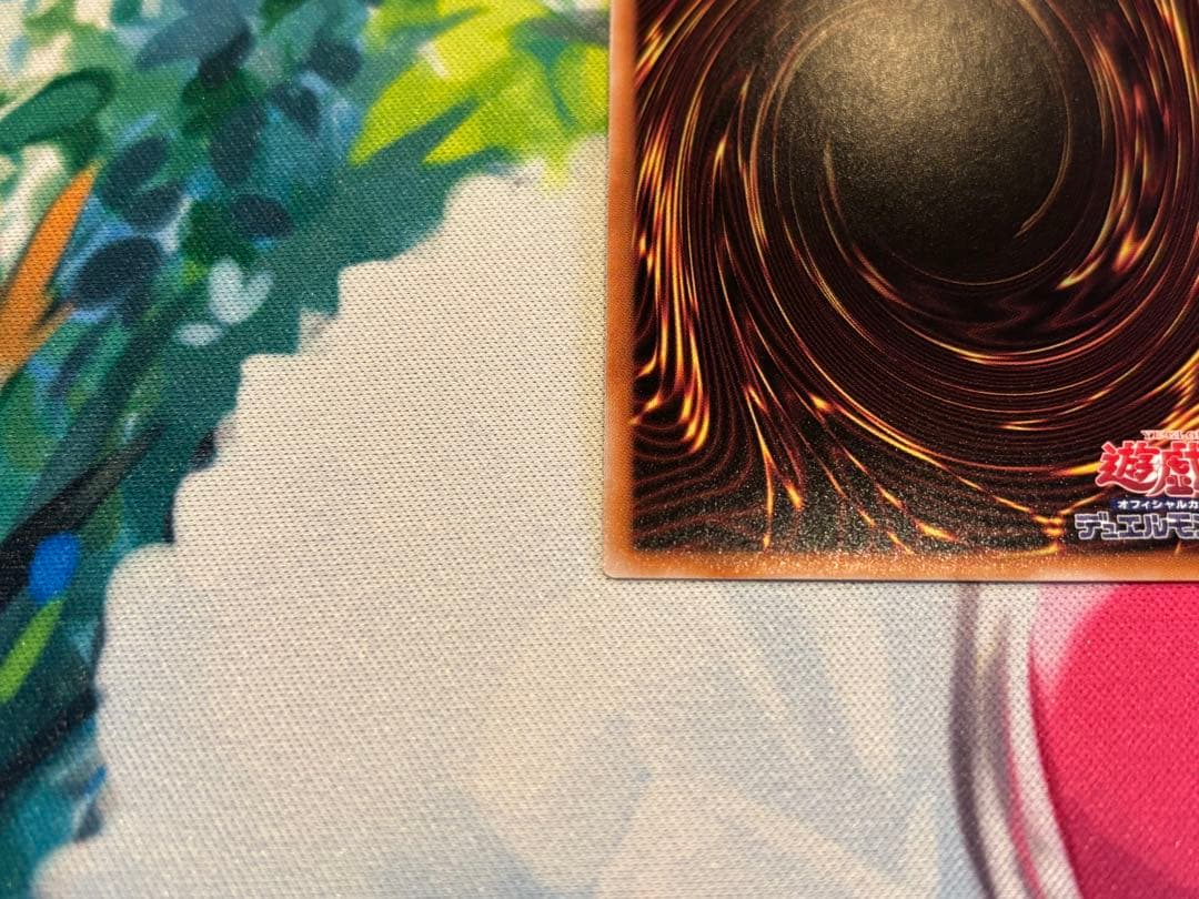 赫の聖女カルテシア 絵違い 25thシク