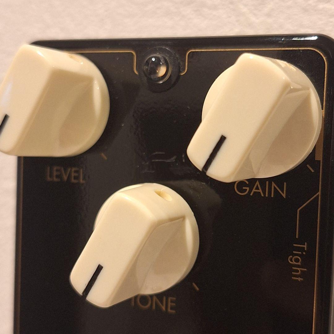 ギター Vivie/CALLION