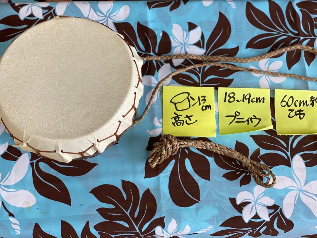 プニウ　ニードラム　美品　フラダンス　楽器 立派なプニウ　ハワイ楽器