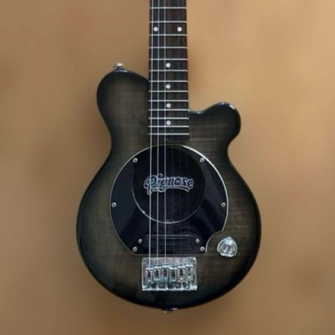 Pignose ギター シースルーブラック (ソフトケース付き)