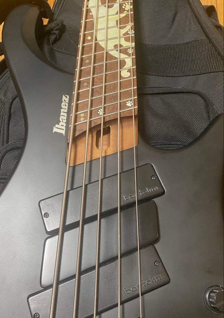 p*r様 Ibanez EHB1005MS-BKF ヘッドレスベース