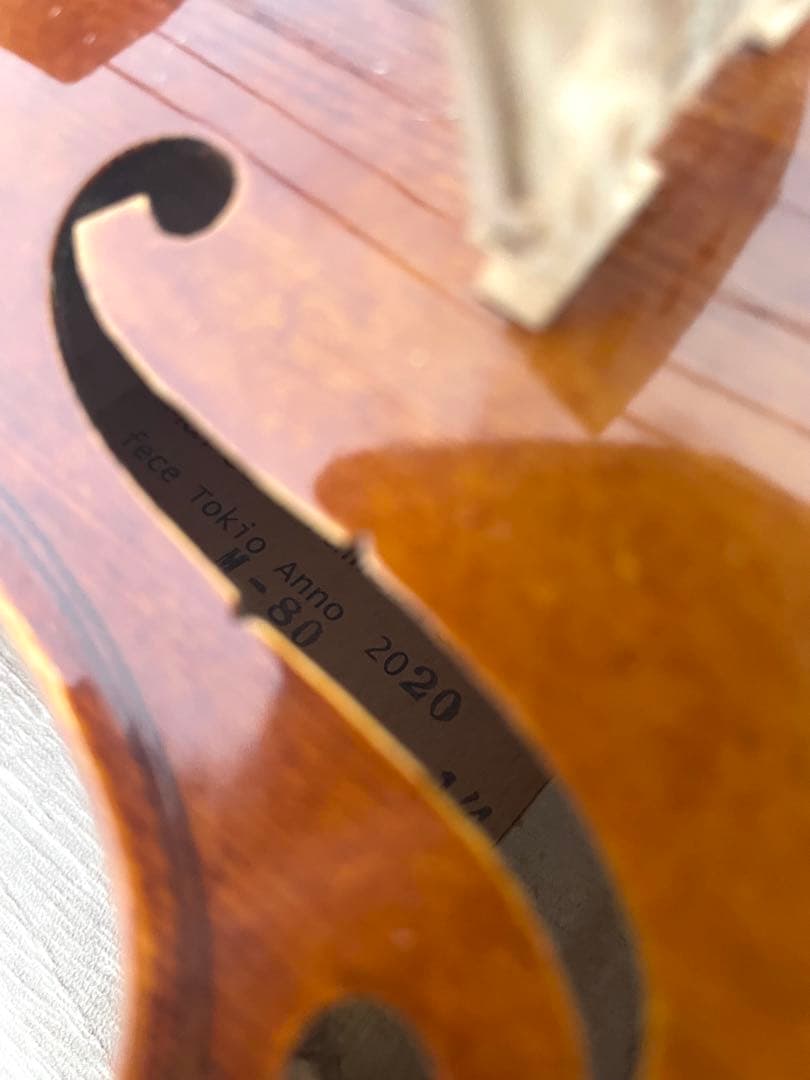 Marco Fiumebianca M-80 バイオリン