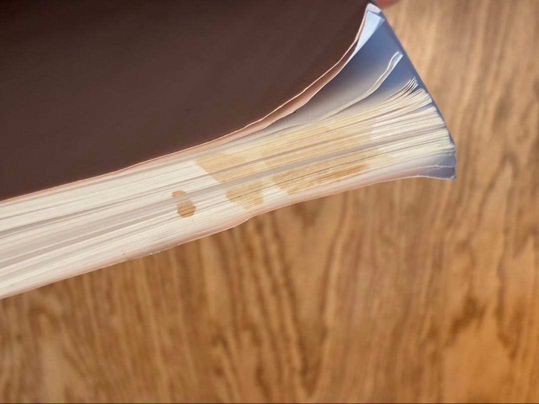 フラクタル心理学マスターコース初級テキスト